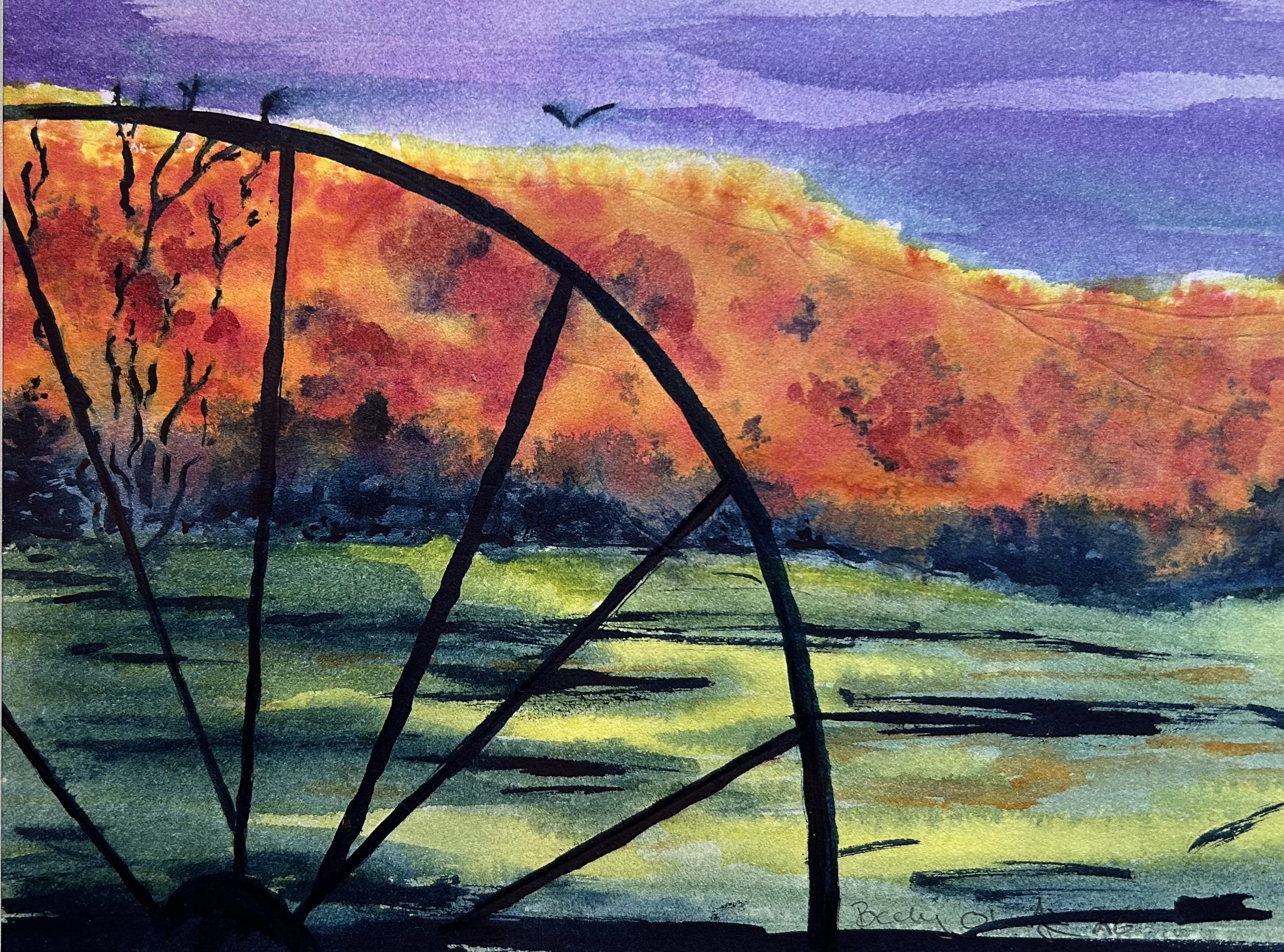 Seal cove Field in autumn