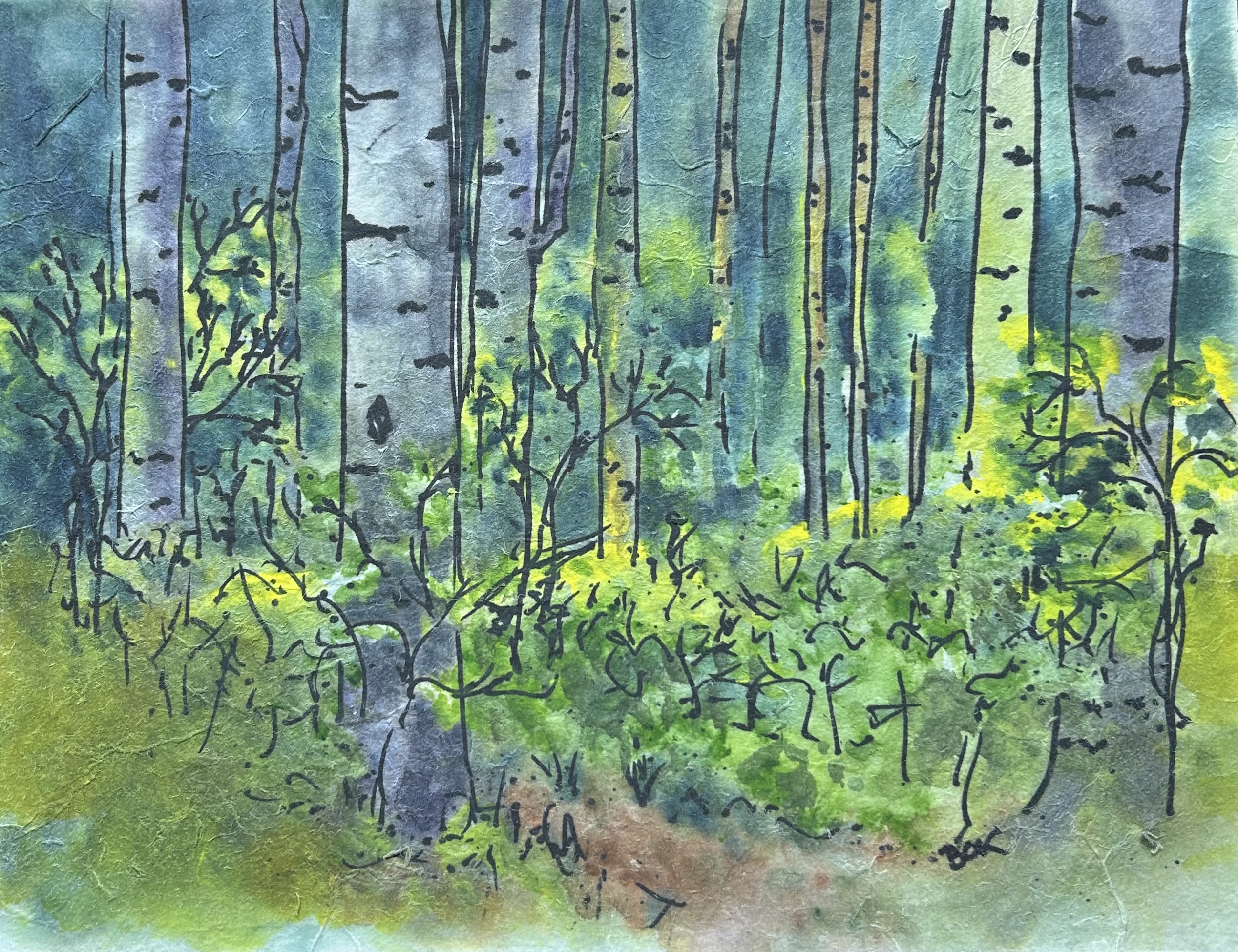 Birch Forest Summer