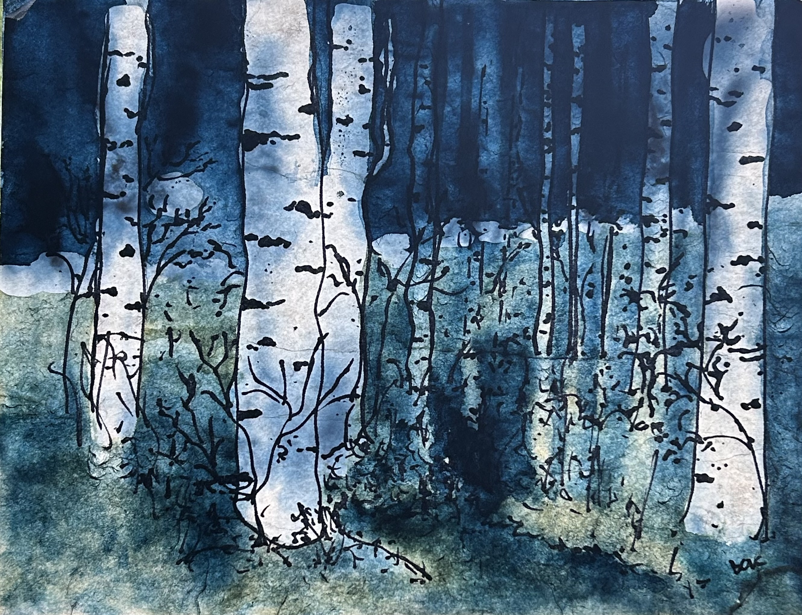 Birch Forest in the moonlight