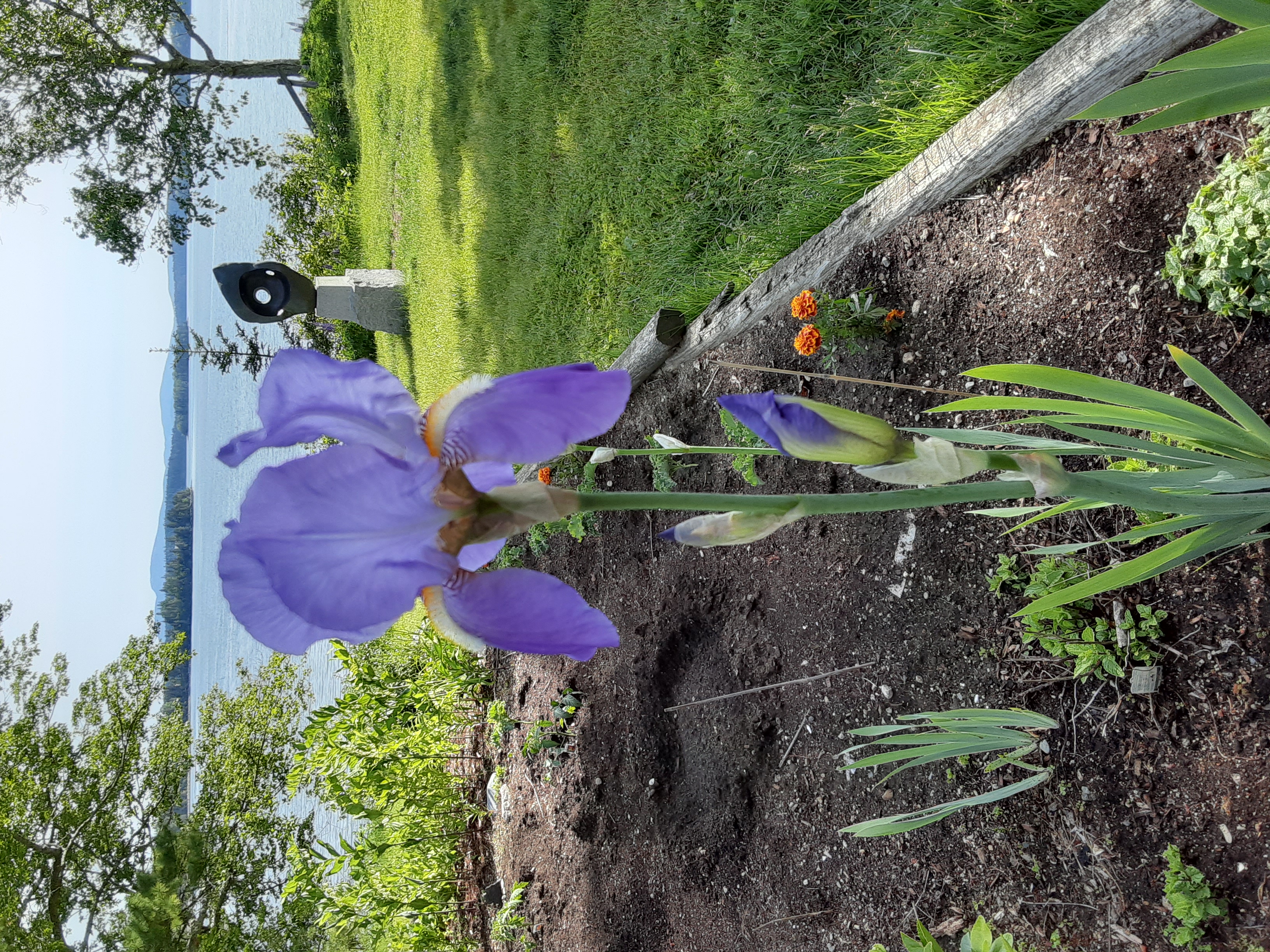 Oh for a painting...