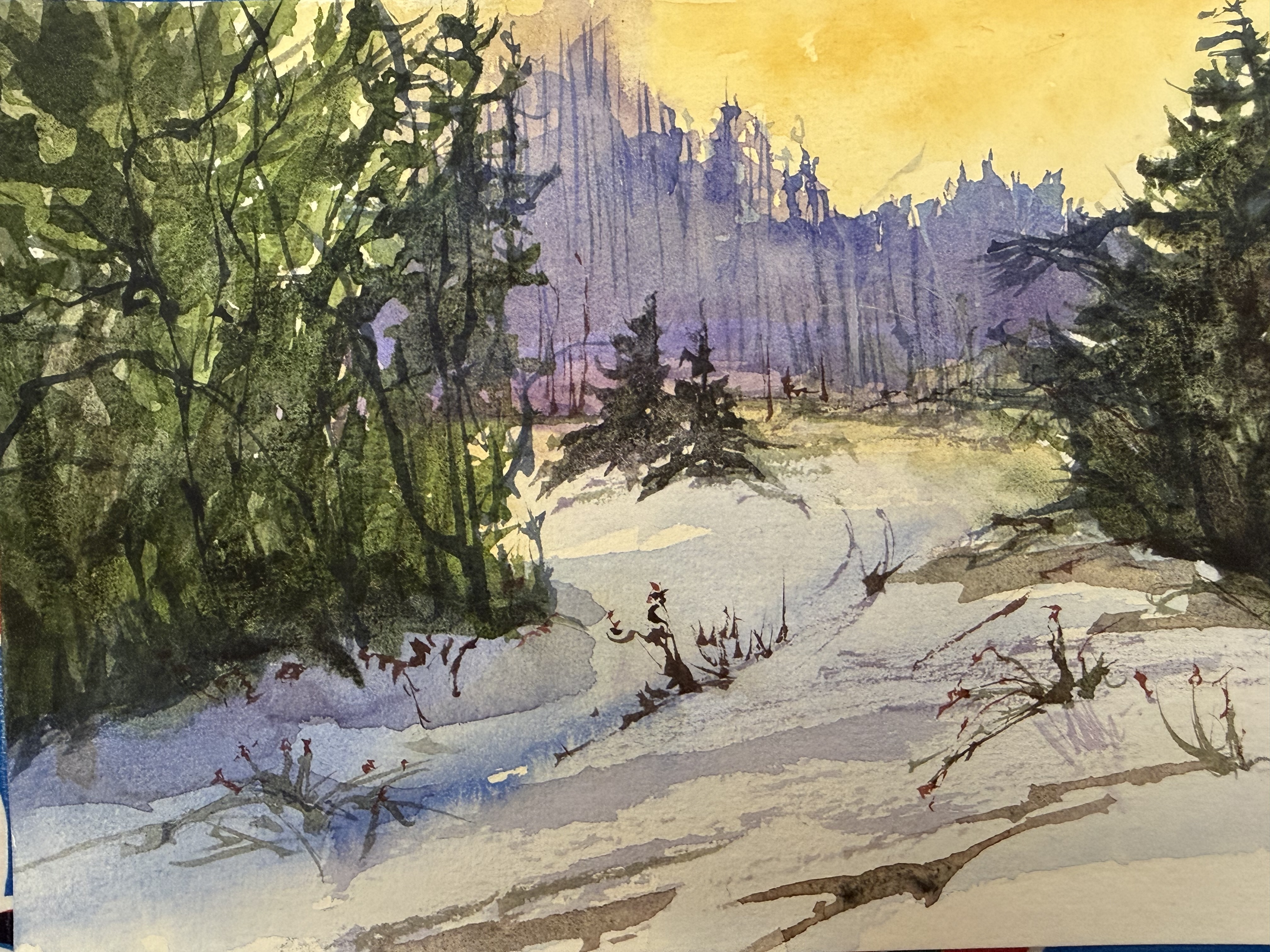 Colors of Winter 504