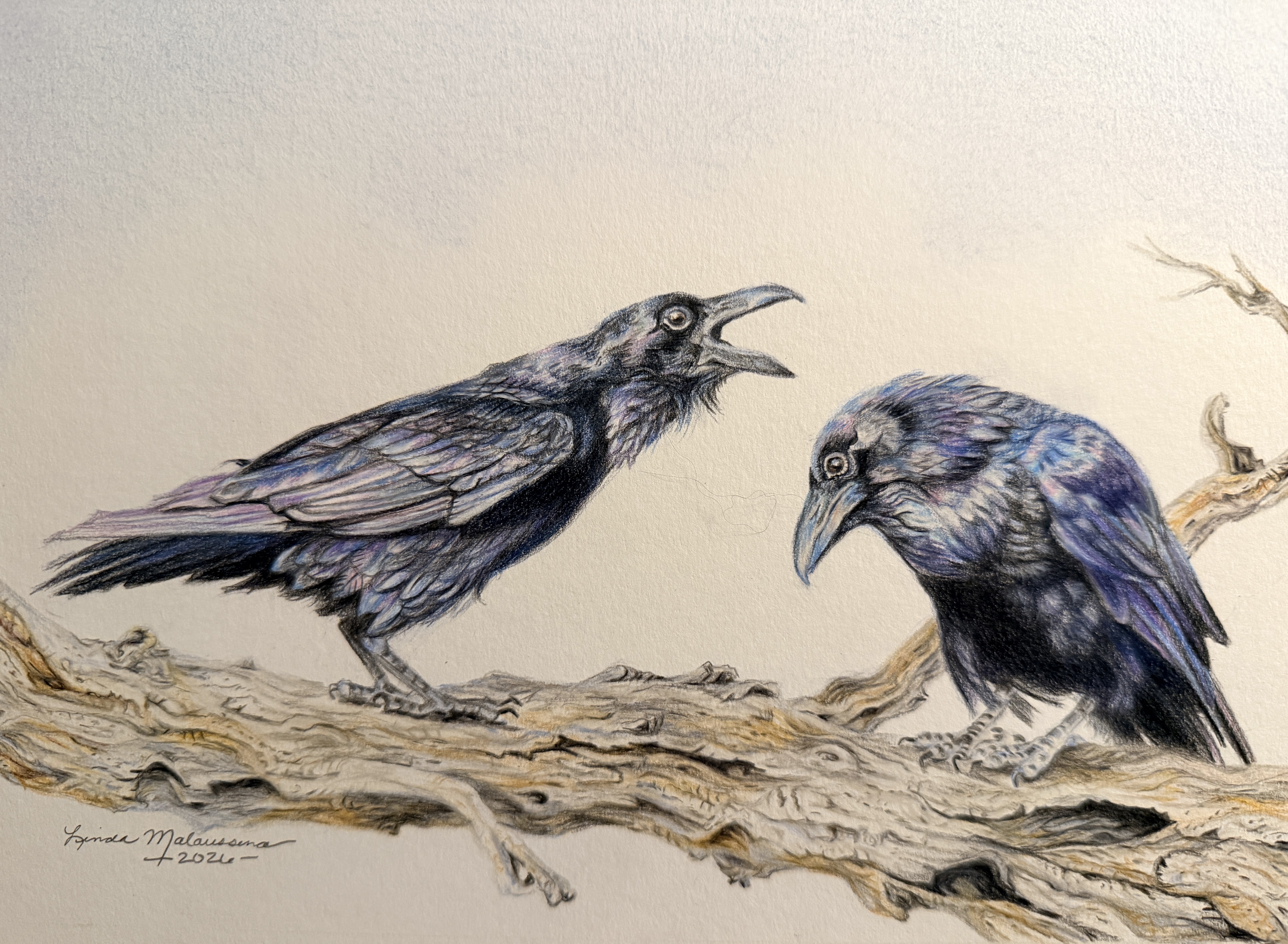 The Scolding