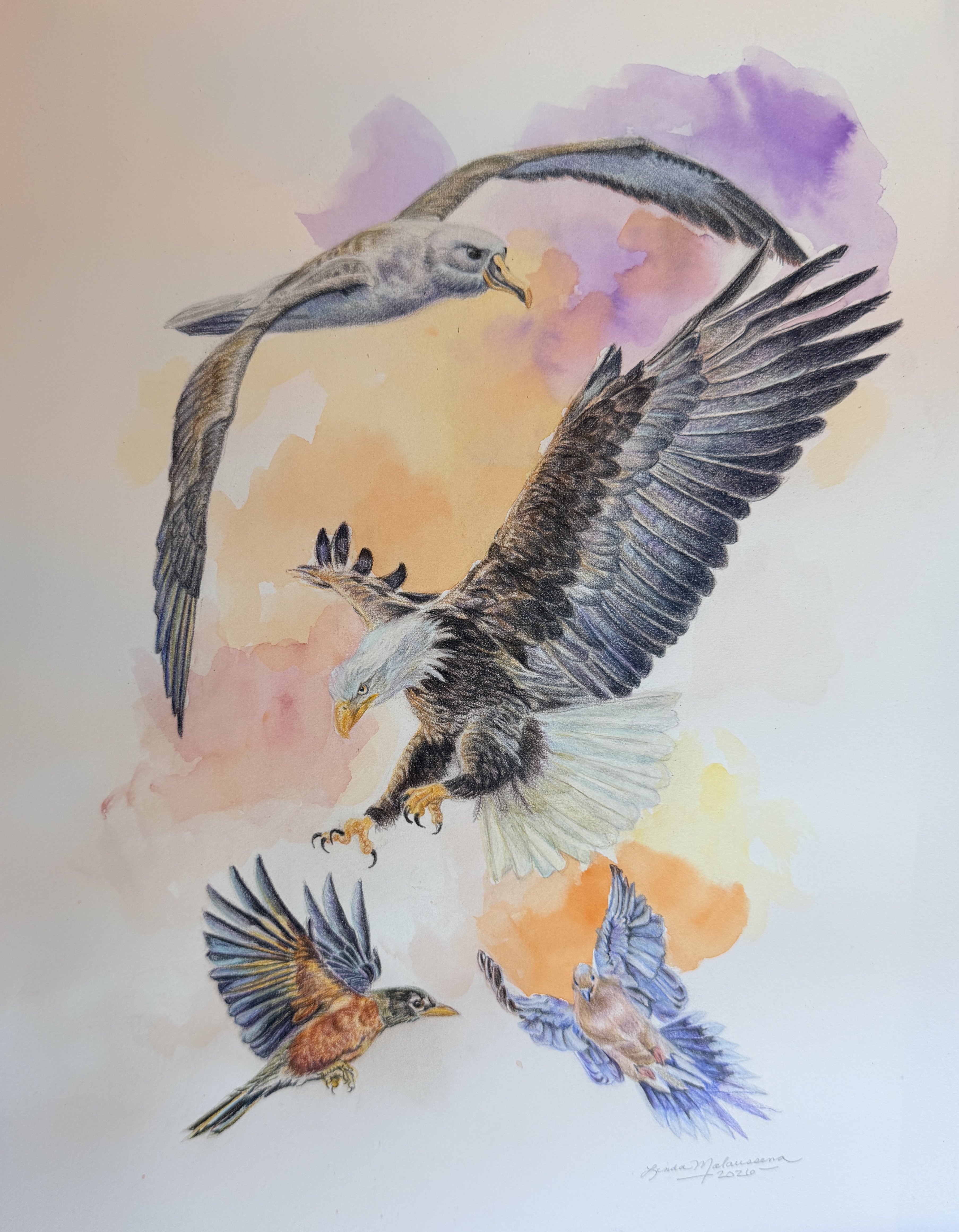 Golfer’s Avians