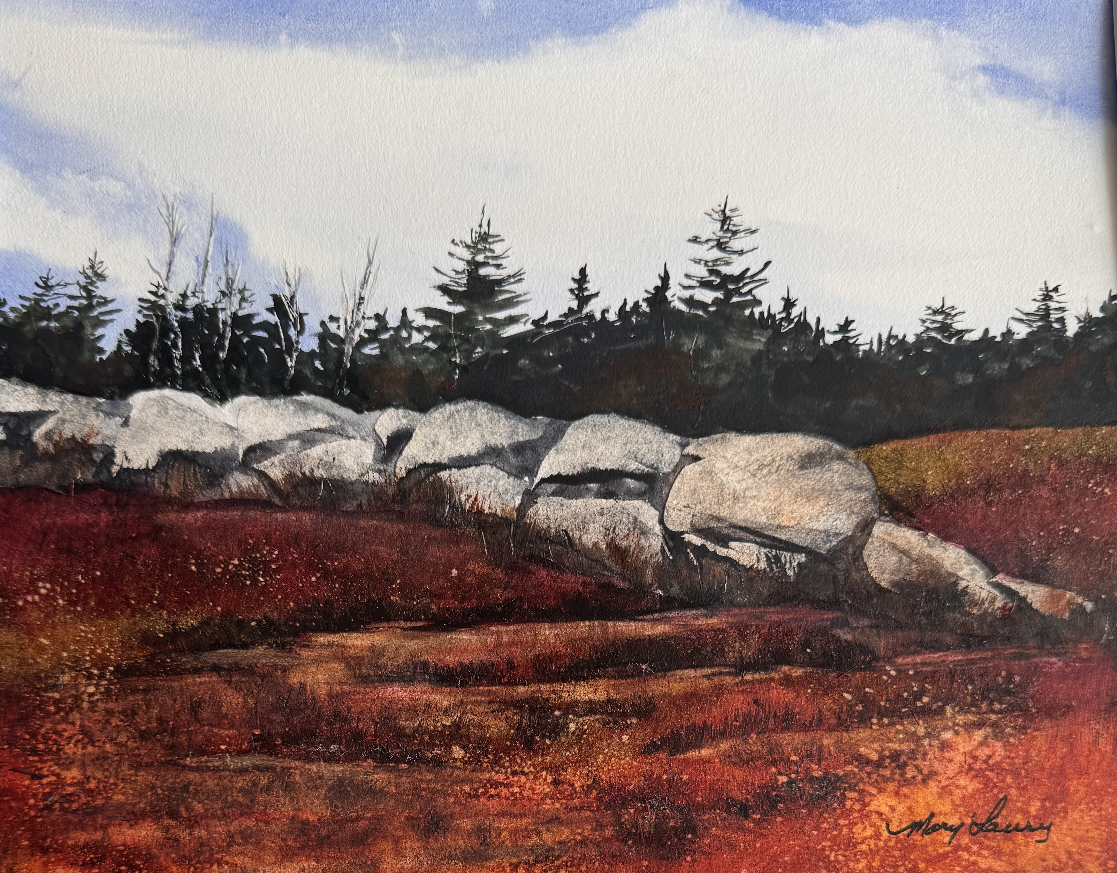 Blueberry Field Milbridge