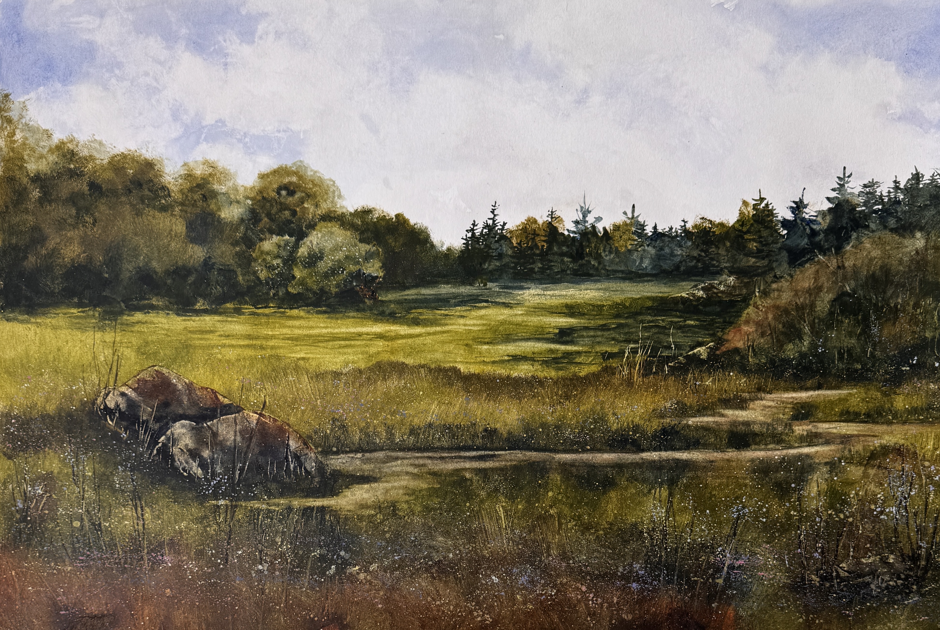 My Back Pasture