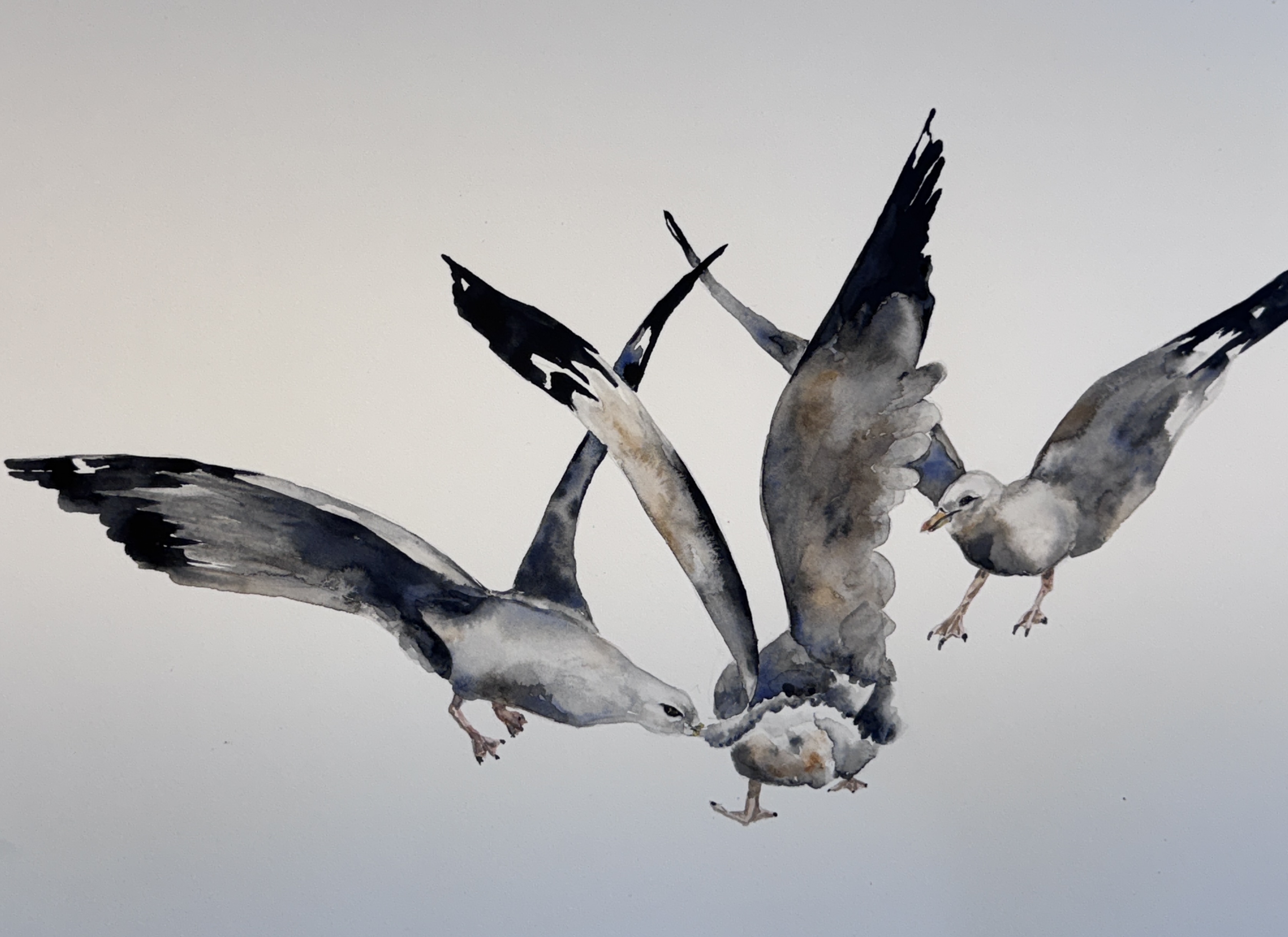 Three Gulls one French Fry