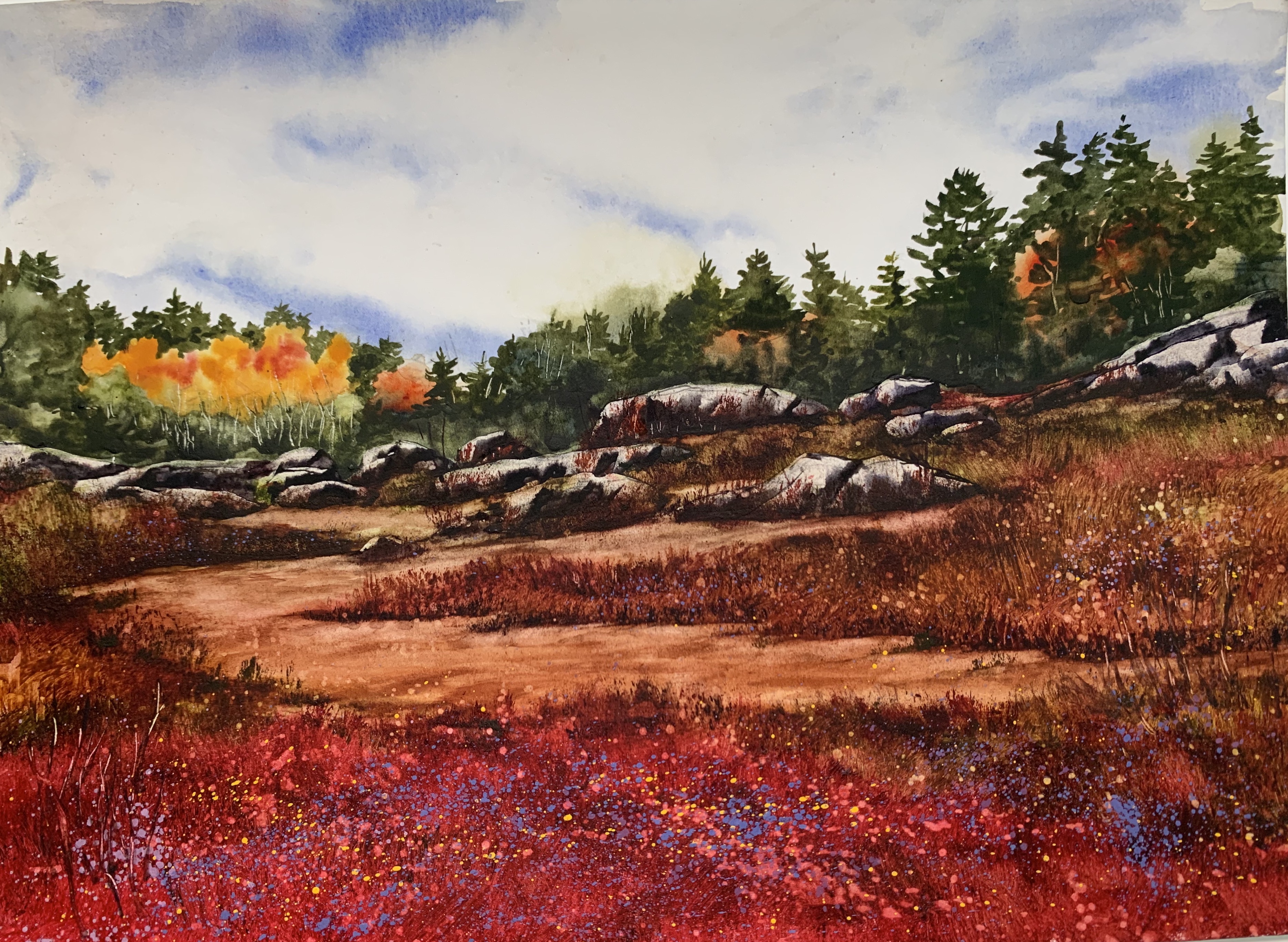 Blueberry Field in Franklin