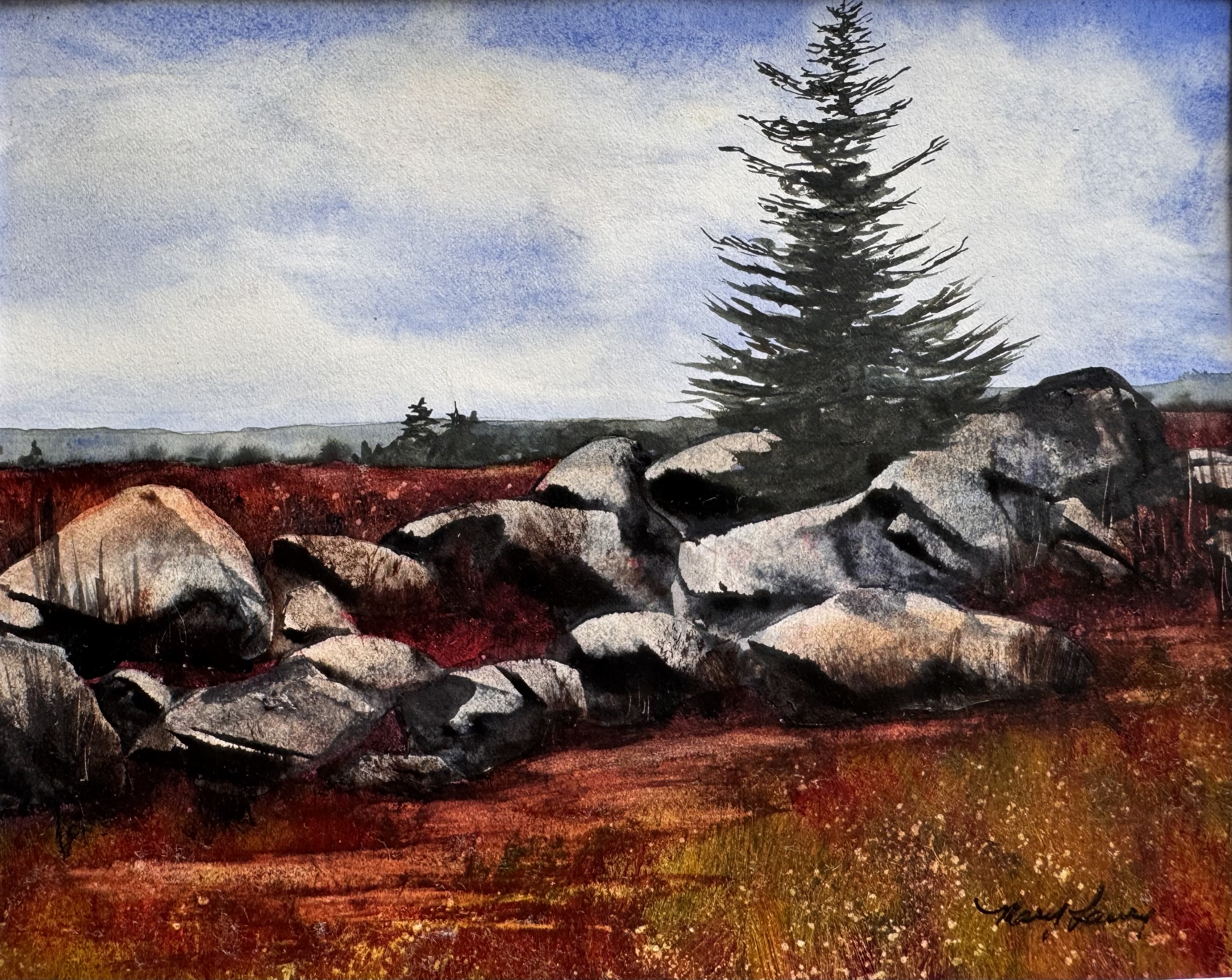 Milbridge Blueberry Field