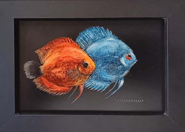 Red fish, blue fish