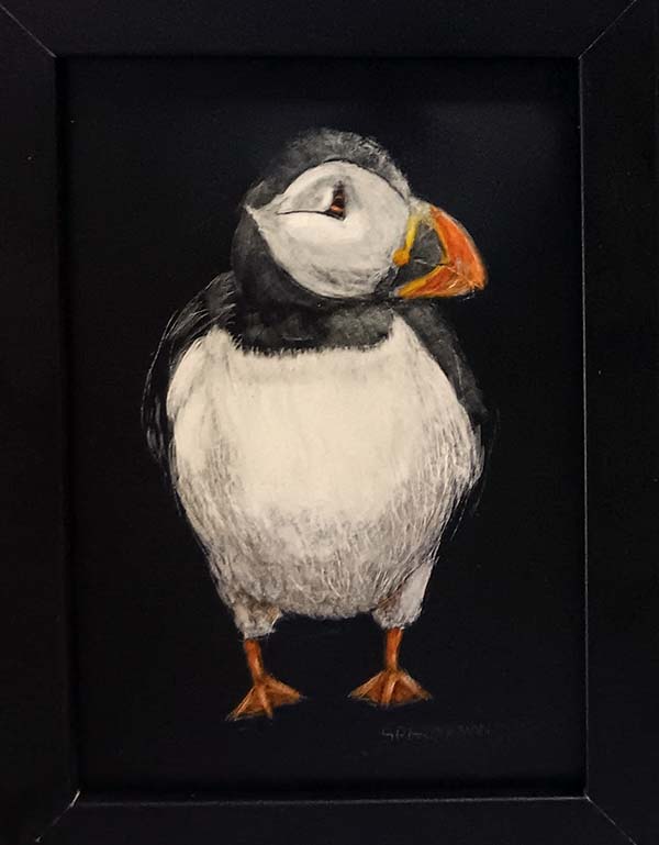 Puffin