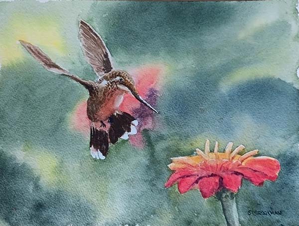 Hummingbird