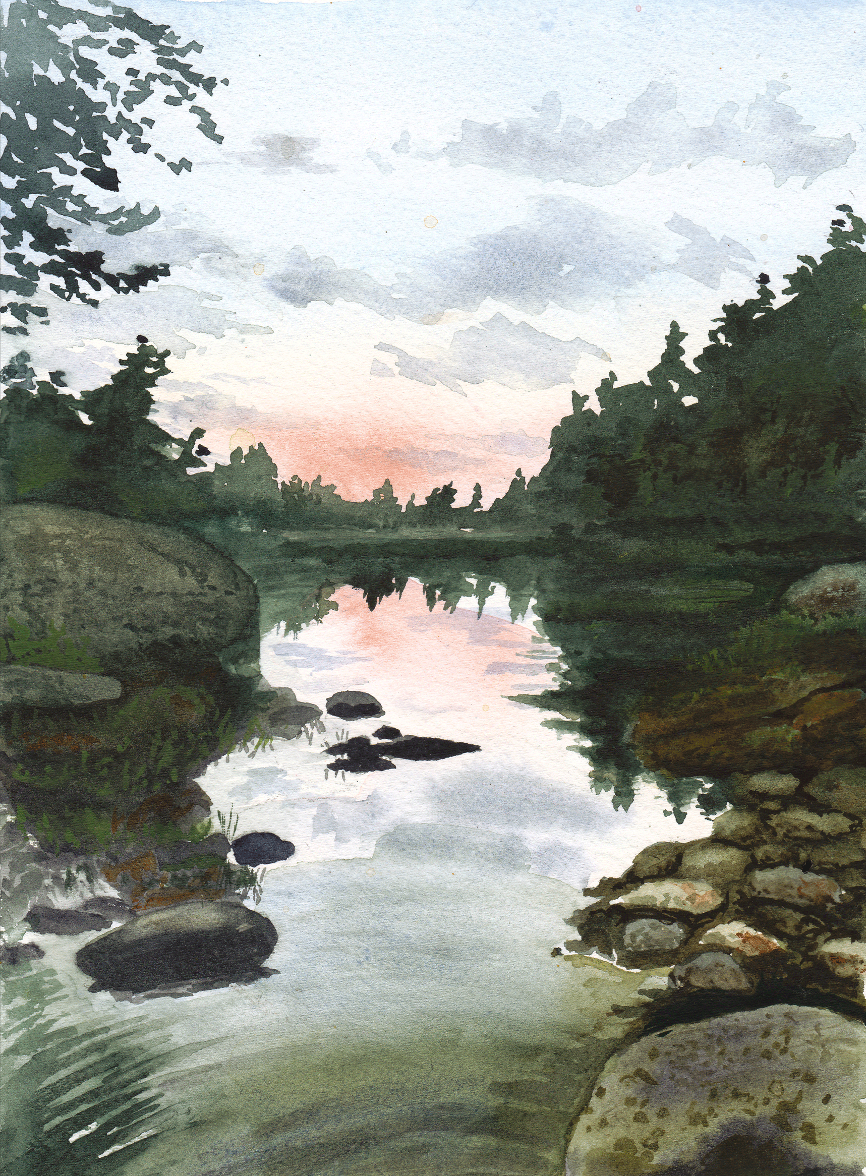 Bog Brook Franklin